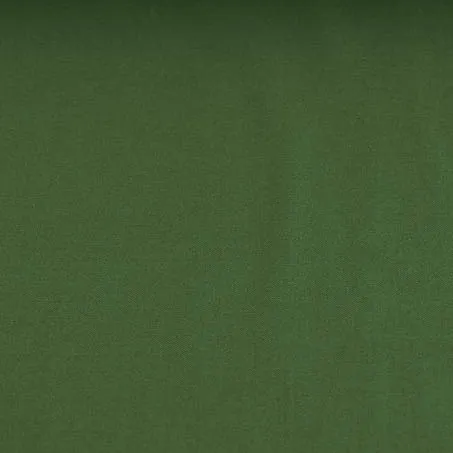 Dubbel crêpe uit zuivere wol groen   -  Lorré